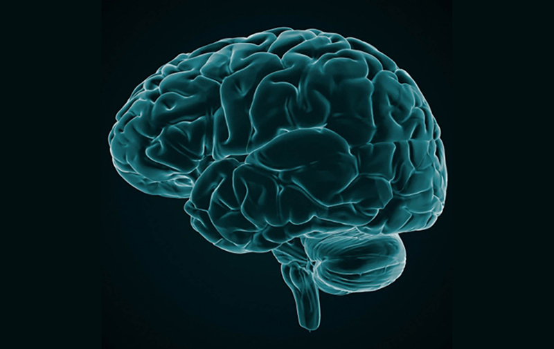 semi-transparent illustration of the human brain