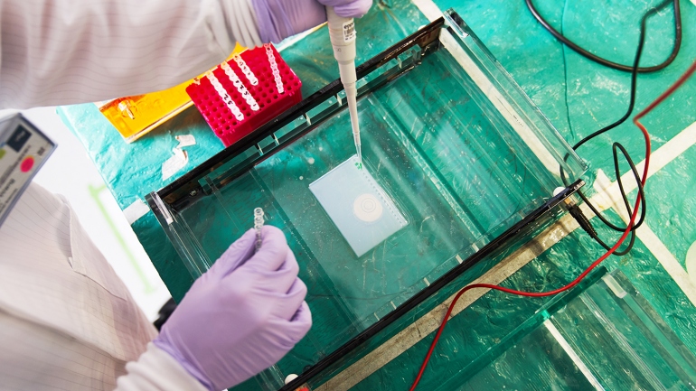 scientist pipetting DNA to perform gel electrophoresis