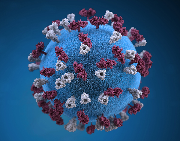 measles virus particle