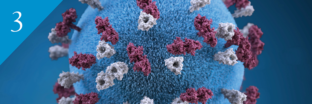 illustration of measles virus