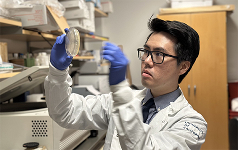 Darwin Kwok, PhD, wearing a white University of California lab coat, examines an agar plate.