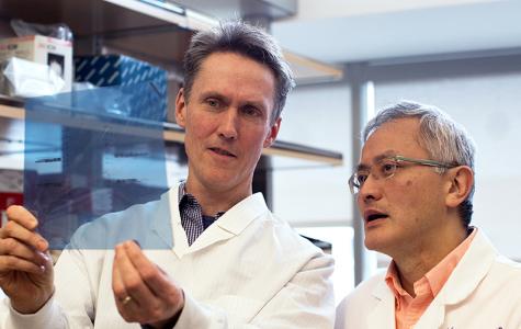 Joseph Costello, PhD and Hideho Okada, MD, PhD discuss results at the lab bench