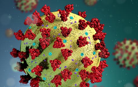 illustration of the novel coronavirus SARS-CoV-2 causing COVID-19