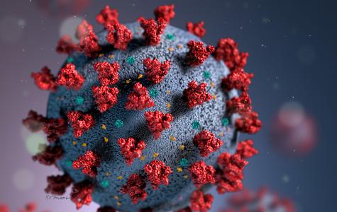 illustration of SARS-CoV-2 virus particle