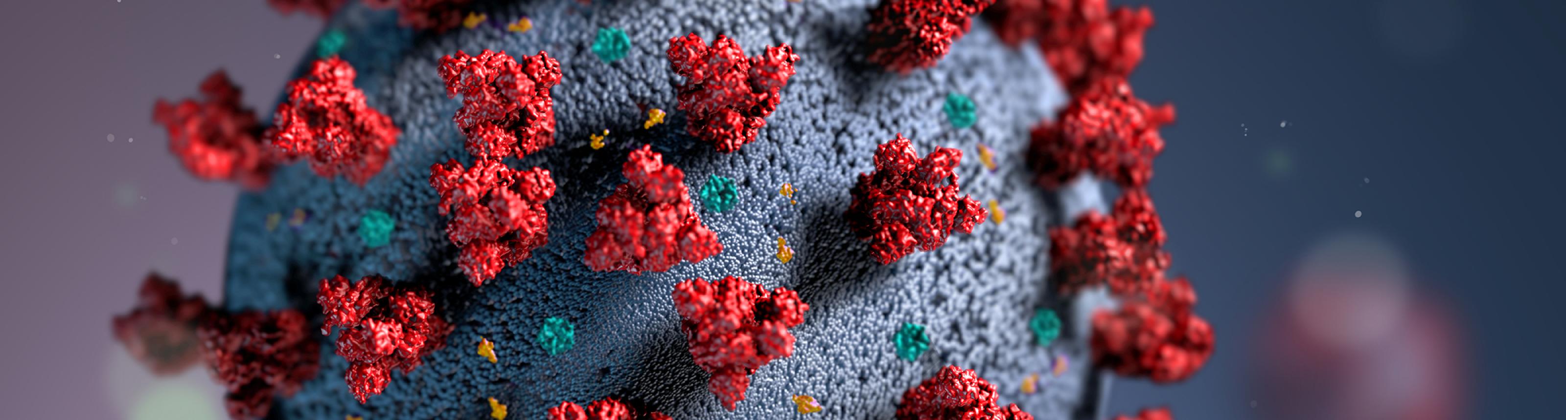 illustration of a SARS-CoV-2 virus particle